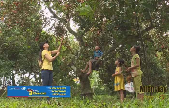 Ấn tượng Miền tây tiếng Khmer 24-07-2018