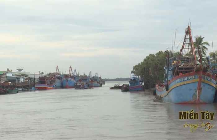 Ấn tượng Miền tây tiếng Khmer 29-01-2019