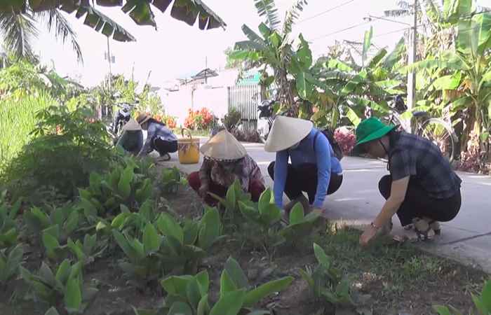 Thuận Hòa: ra quân trồng hoa trên tuyến đường kiểu mẫu