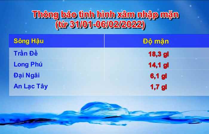 Bản tin Khí tượng Thủy văn (01-02-2022)