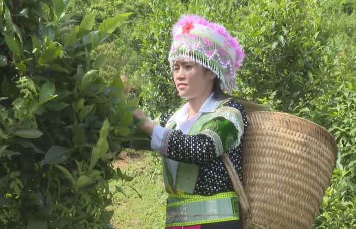 Bản tin STV NEWS (01-11-2023)