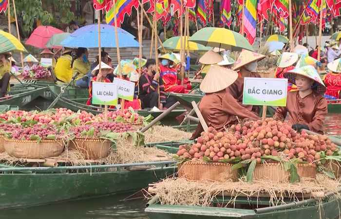 Bản tin STV NEWS (05-06-2024)