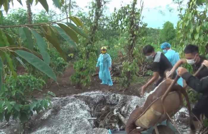 Bản tin STV NEWS (05-10-2021)