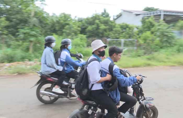 Bản tin STV NEWS (05-11-2024)