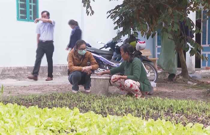 Bản tin STV News (10-02-2021)
