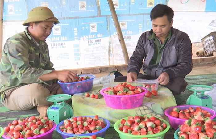 Bản tin STV NEWS (10-03-2023)