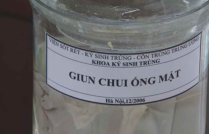 Bản tin STV NEWS (16-11-2023)
