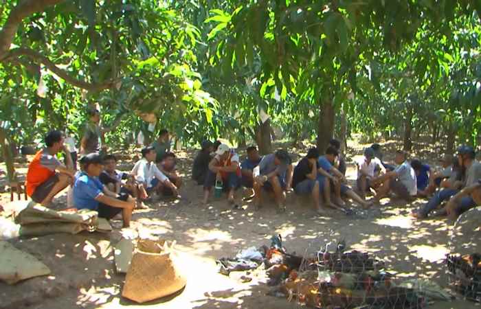 Bản tin STV News (17-02-2021)