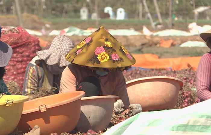 Bản tin STV News (17-03-2021)
