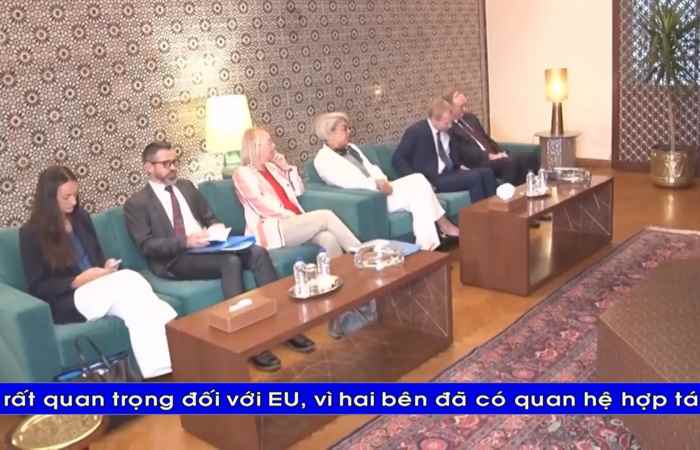  Bản tin STV NEWS (19-06-2023)