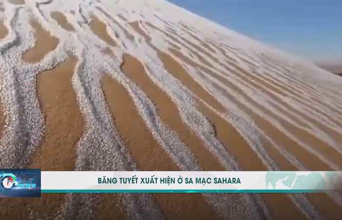 Bản tin STV News (20-01-2021)