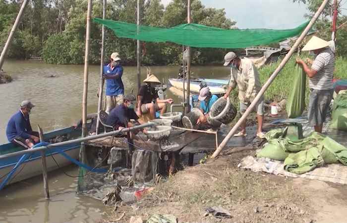 Bản tin STV News (20-06-2021)