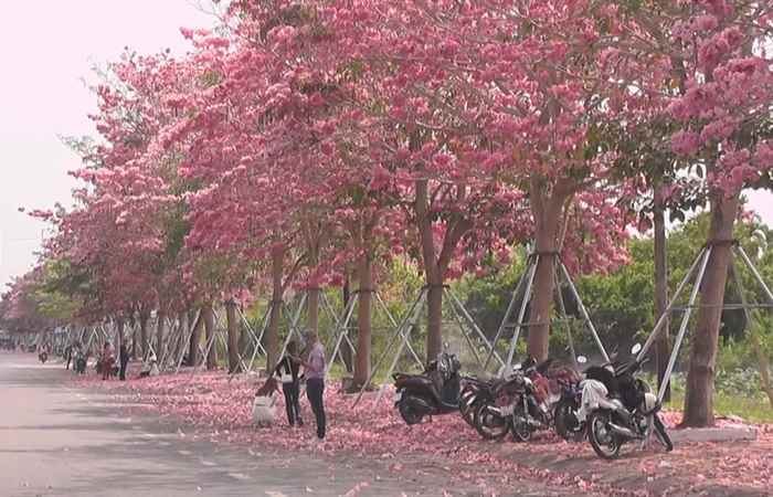  Bản tin STV NEWS (22-03-2023)