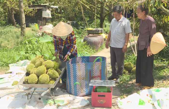  Bản tin STV NEWS (22-05-2023)