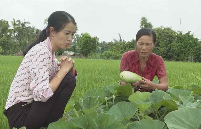 Bản tin STV News (24-01-2021)