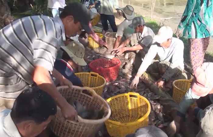 Bản tin STV News (25-01-2021)