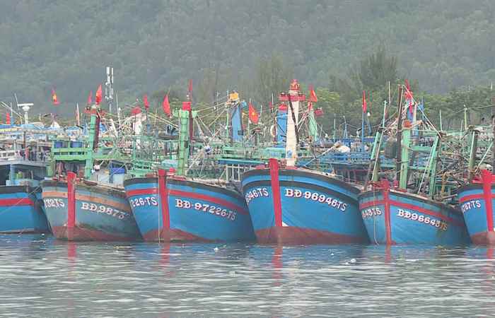 Bản tin STV NEWS (25-10-2024)