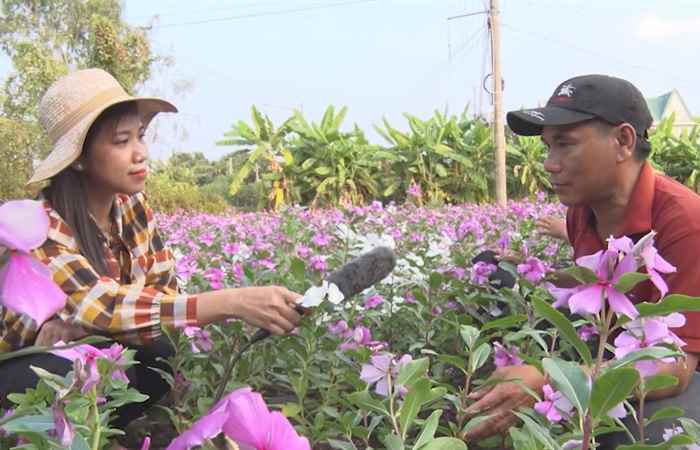 Bản tin STV News (27-03-2021)