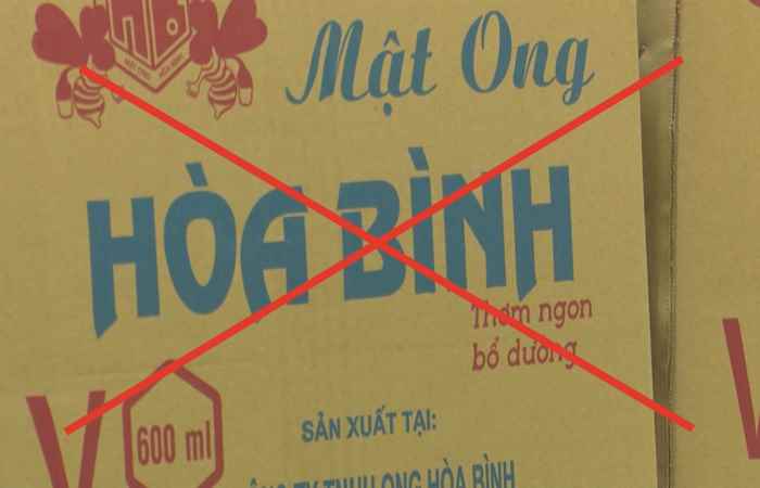 Bản tin STV NEWS (30-01-2024)