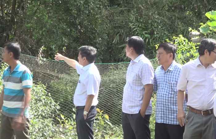 Ngã Năm: Bí thư Thị ủy khảo sát thực trạng Vườn cò Tân Long