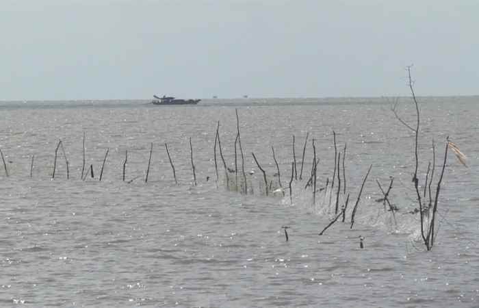Chuyên mục: Biển đảo quê hương (01-06-2022)