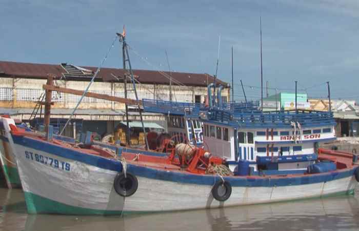 Trần Đề khai thác lợi thế từ biển và vùng ngập mặn ven biển (03-01-2024)