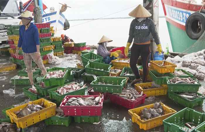Nỗ lực vươn khơi (04-01-2023)