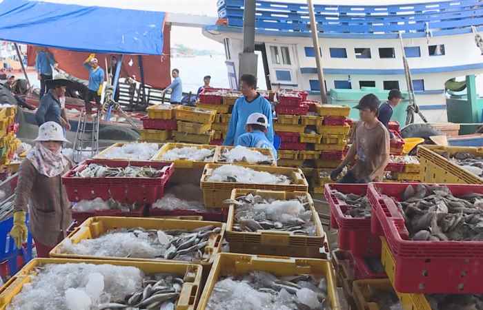 Biển đảo quê hương: Khát vọng vươn khơi (07-12-2022)