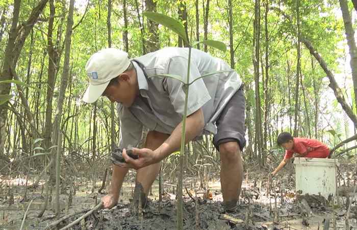 Biển đảo quê hương Sóc Trăng Bảo vệ nguồn lợi thủy sản gắn với sinh kế cho người dân 08-10-2018