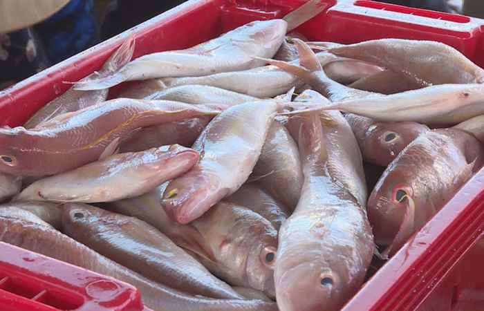 Biển đảo quê hương Sóc Trăng đầu tư cơ sở hạ tầng phục vụ nghề cá 11-06-2018