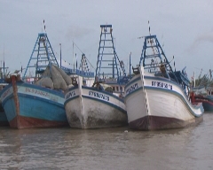 Biển đảo quê hương 30-08-2014
