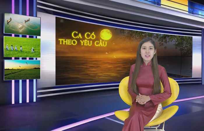 Ca cổ theo yêu cầu 13-11-2019