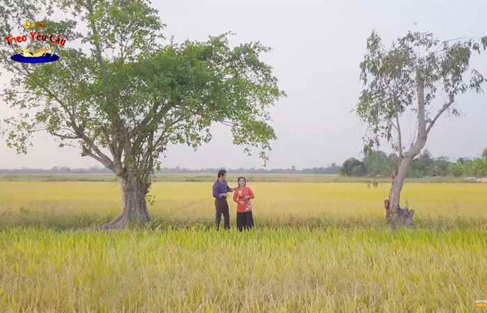 Ca cổ theo yêu cầu (16-02-2022)