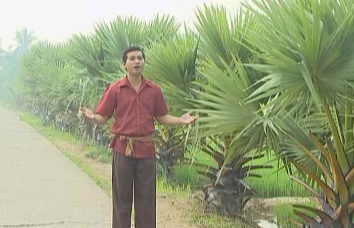 Ca nhạc Khmer 02-03-2019