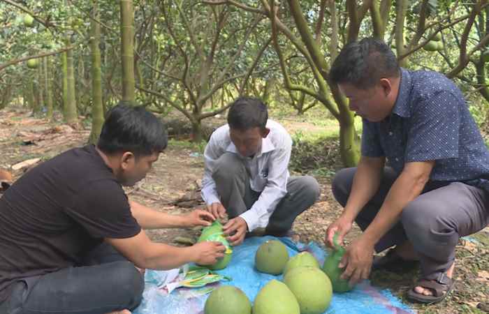 Ca nhạc Quốc tế (05-05-2023)