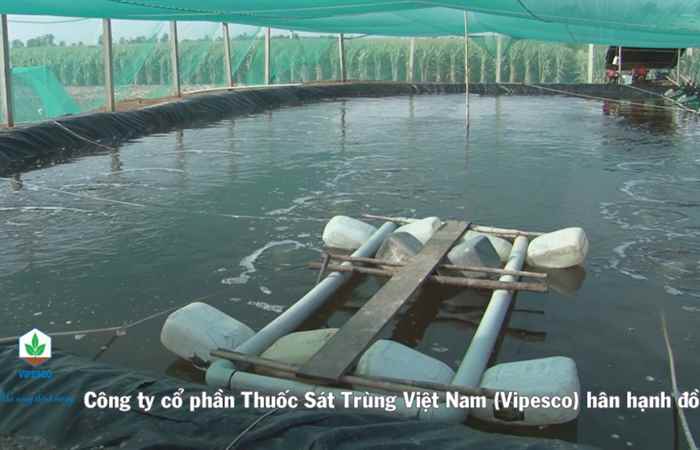 Các mô hình tiên tiến trong nuôi tôm