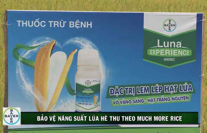 Cẩm nang nhà nông (09-08-2019)