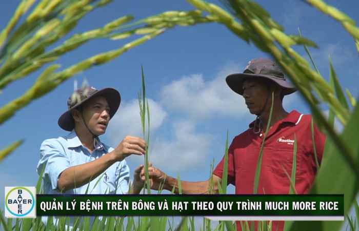 Cẩm nang nhà nông 12-07-2019