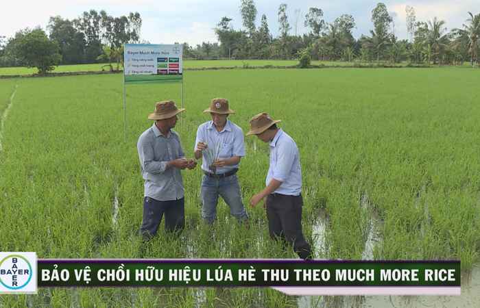 Cẩm nang nhà nông 14-06-2019
