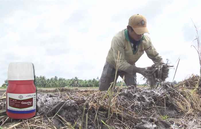 Cẩm nang nhà nông 14-09-2018