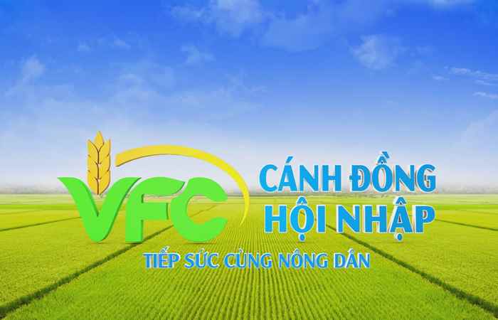 Cánh đồng hội nhập (01-07-2022)