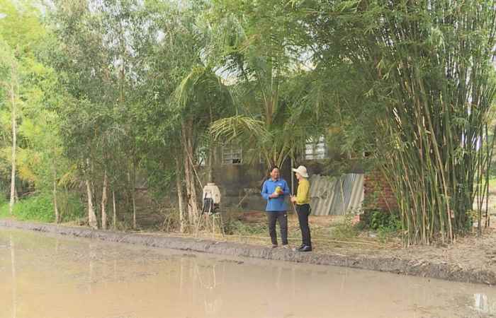 Cánh đồng hội nhập (02-04-2021)
