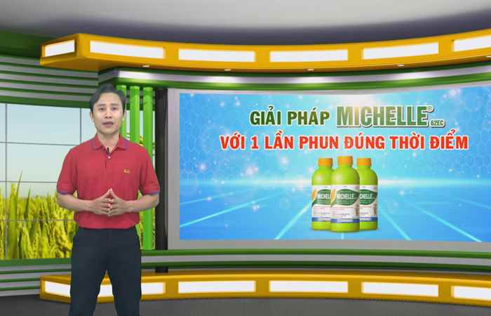  Cánh đồng hội nhập ( 05-11-2021)