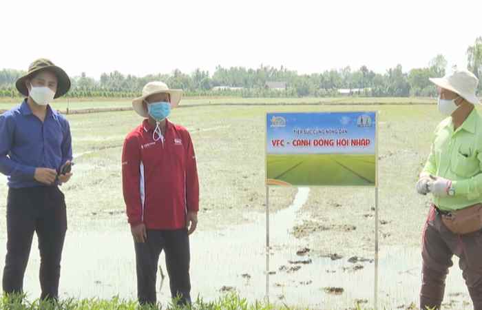  Cánh đồng hội nhập (11-03-2022)