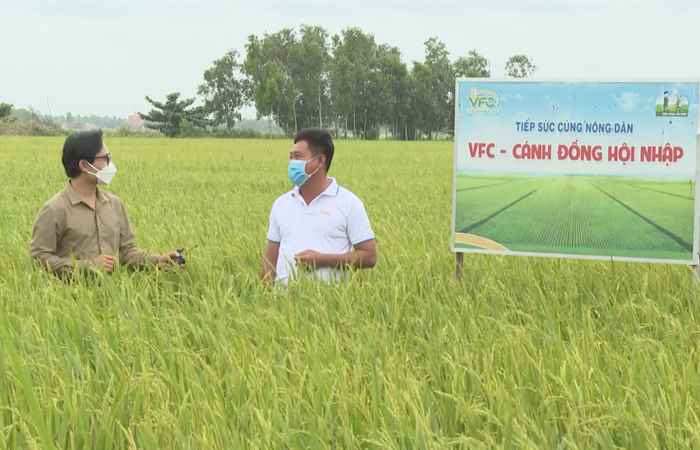VFC- Cánh đồng hội nhập (24-12-2021)