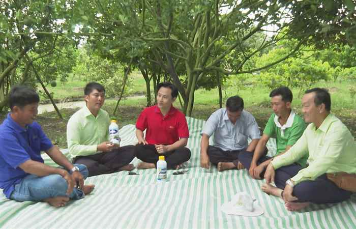 Cánh đồng hội nhập (26-08-2022)