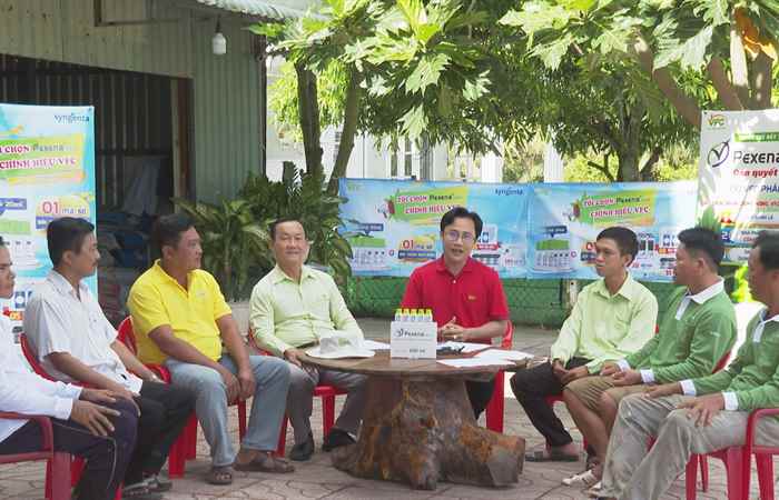 Cánh đồng hội nhập (29-07-2022)