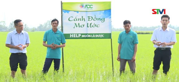 Cánh đồng ước mơ 21-12-2016