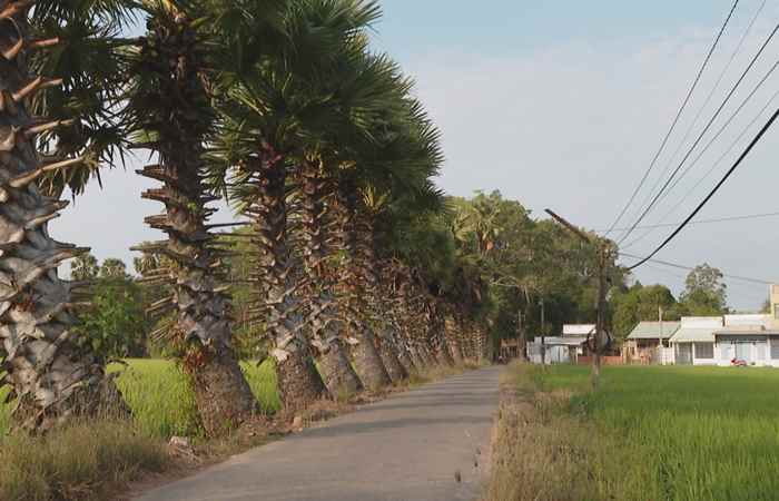 Câu chuyện Văn hóa tiếng Khmer (11-02-2022)
