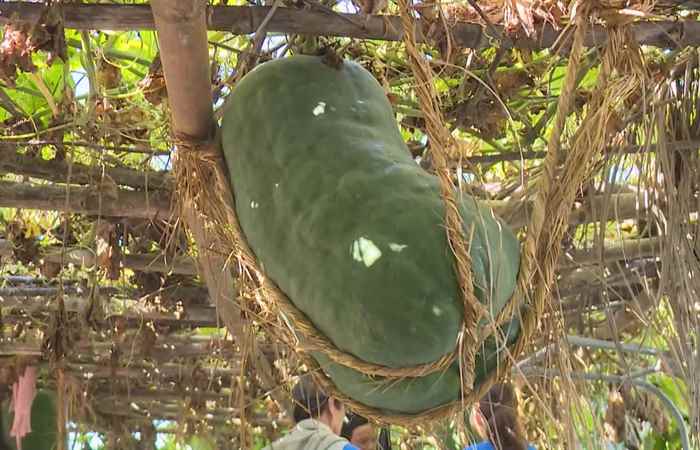 Câu chuyện Văn hóa - Tiếng Khmer (15-07-2022)